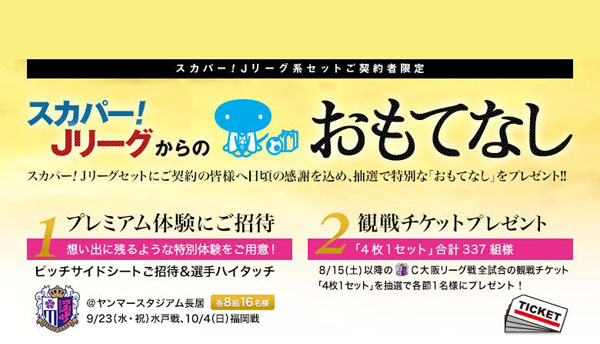 まいど セレッソ マイセレ ニュース