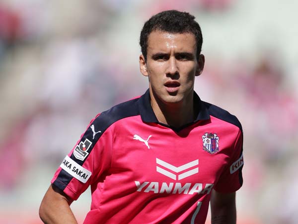 まいど セレッソ マイセレ ニュース