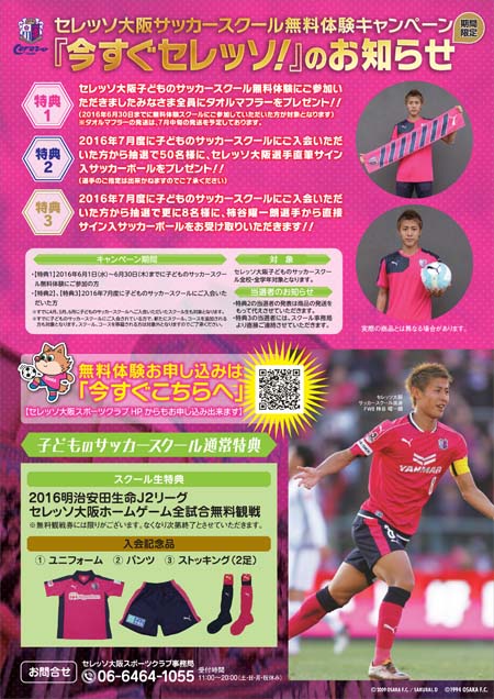 まいど セレッソ マイセレ ニュース