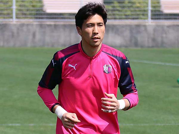 まいど セレッソ マイセレ ニュース