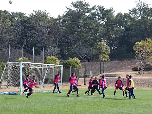 まいど セレッソ マイセレ ニュース