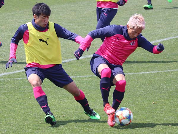 まいど セレッソ マイセレ ニュース