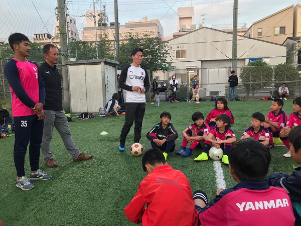 まいど セレッソ マイセレ ニュース
