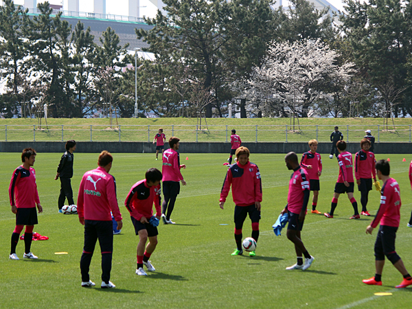 ヤンマーグラウンドの桜