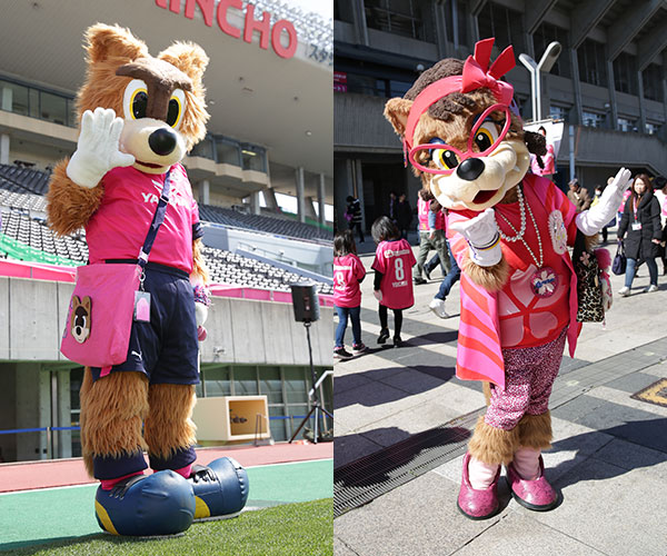 初めてでも楽しめる セレッソ大阪 観戦ガイド まいど セレッソ マイセレ